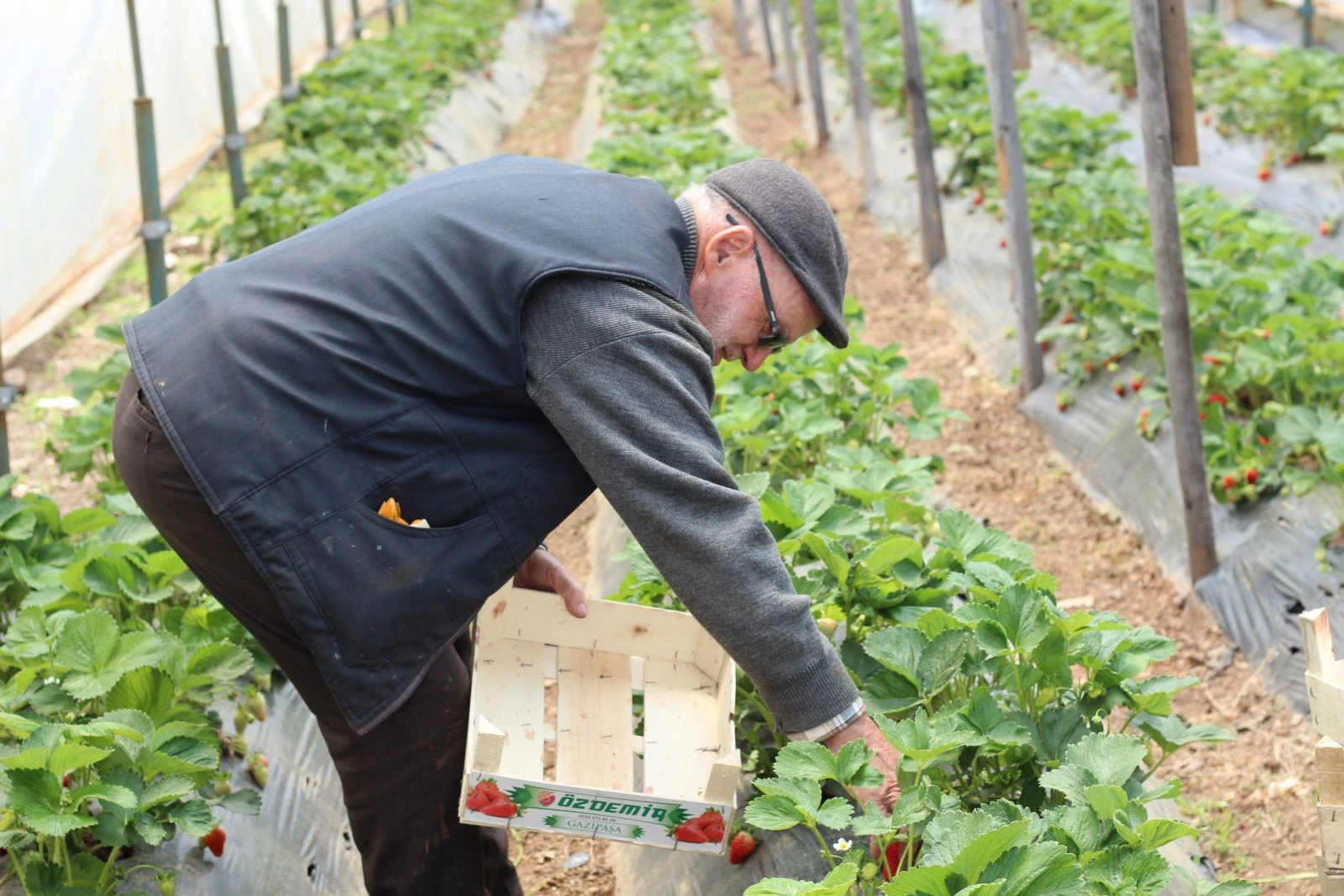Hobi olarak başladı, şimdi tonlarca üretmeye başladı