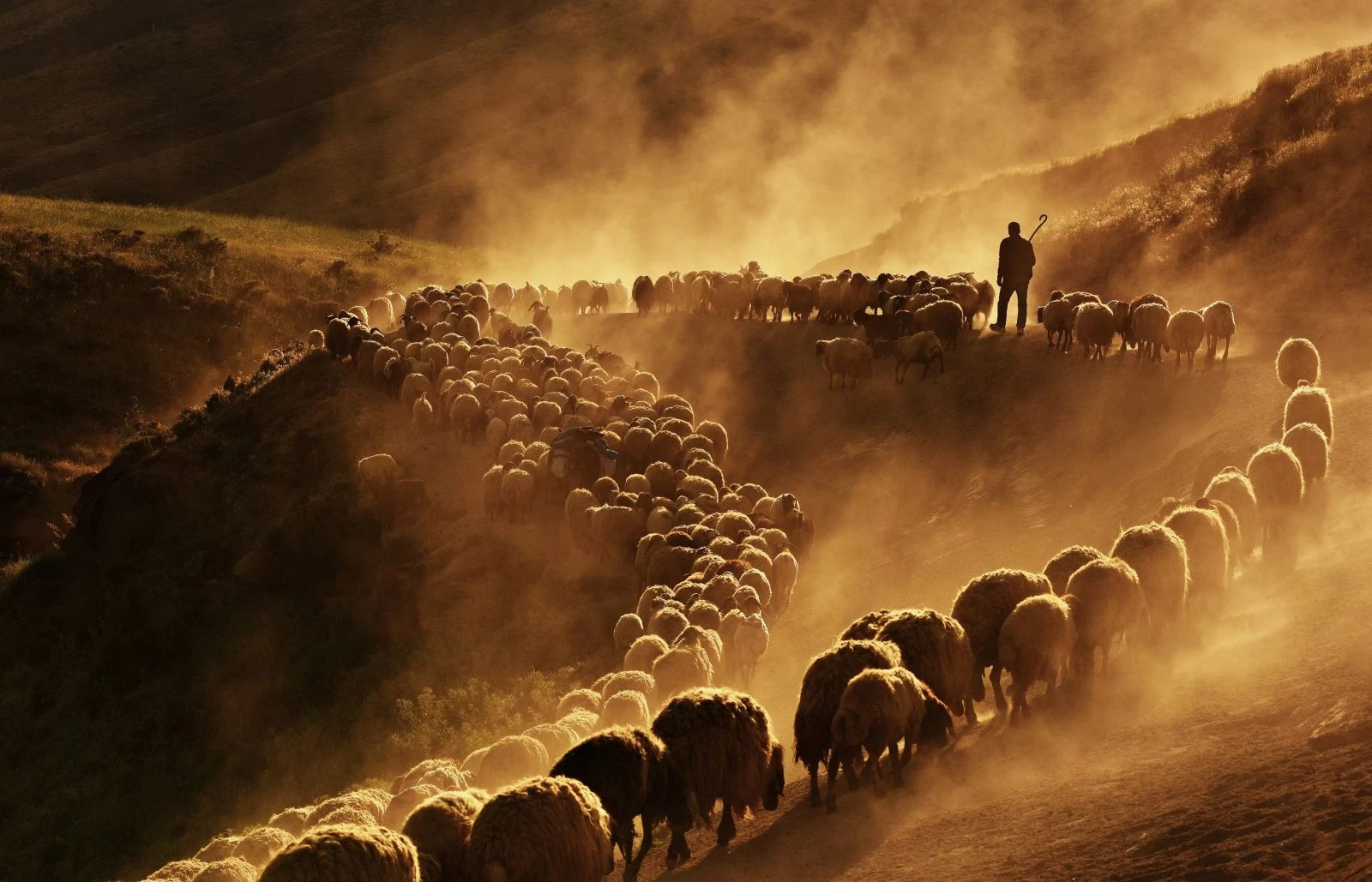 İHA Muhabiri Özkan Olcay’a Fransa’dan birincilik ödülü