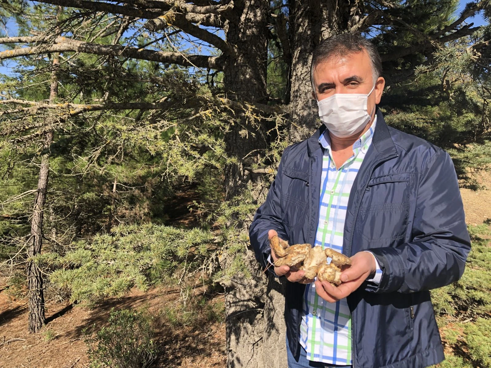 Her yerde onu arıyorlar: Kilosu 100 TL