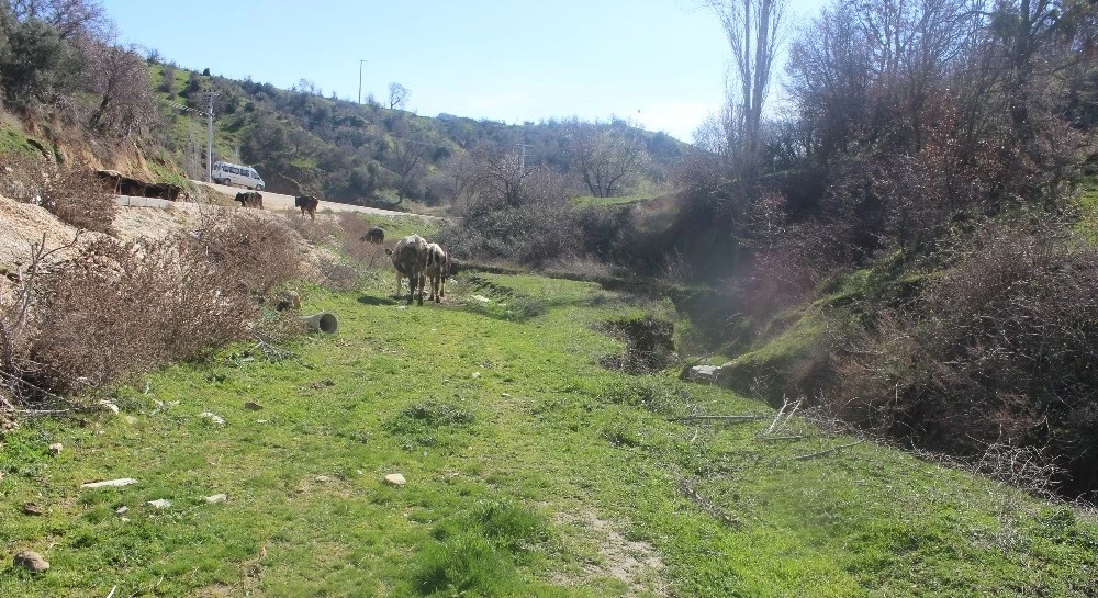 Misafir gelmesin diye dua ediyorlar