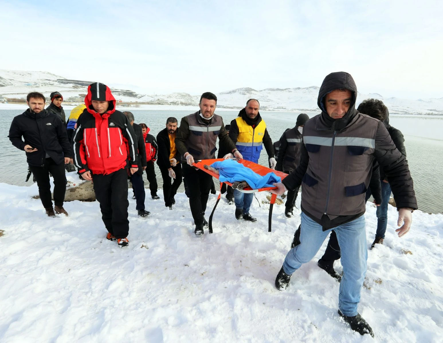 Donan gölde mahsur kalan yavru köpek için seferberlik