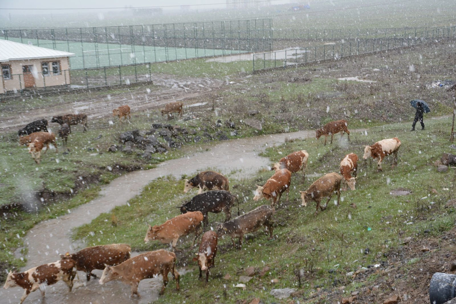 Kars'ta mayıs ayında kar sürprizi: Sarıkamış beyaza büründü