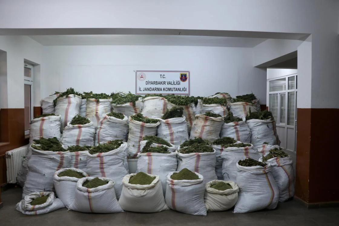 Diyarbakır'da 4 milyon 623 bin 280 kök kenevir ve 800 kilogram esrar bulundu