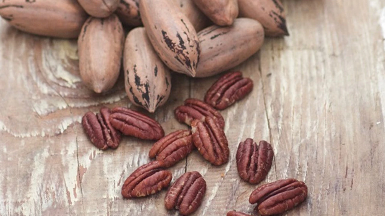 Pikan cevizi faydası nedir, kilosu ne kadar, kaç TL? Pikan cevizi kilo vermek için kullanılır mı, nasıl tüketilir?