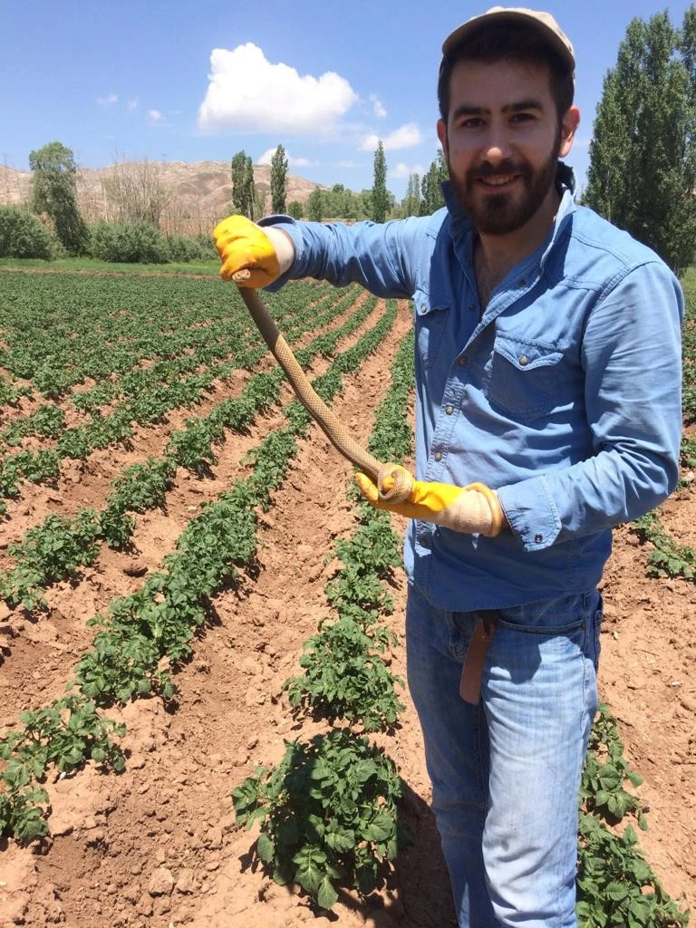 Yılanı doğaya bırakan çiftçi