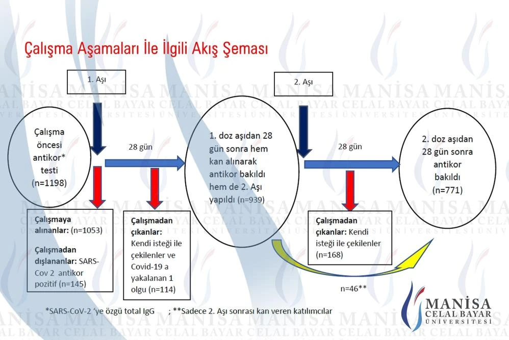Sinovac aşısının bağışıklığı yüzde 99 kuvvetlendirdiği kanıtlandı