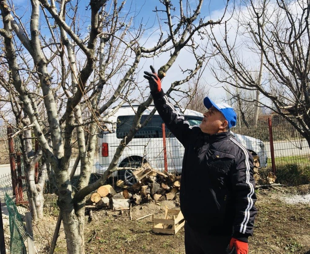 Kış ortasında çiçek açtı, çiftçiler tedirgin