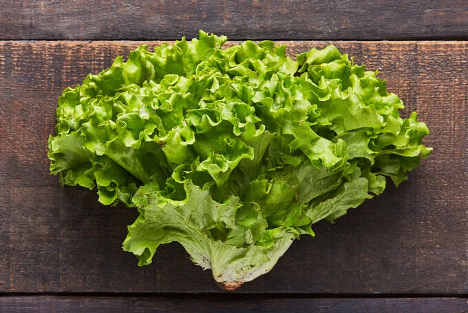 İstanbul'da zam şampiyonu kıvırcık salata oldu