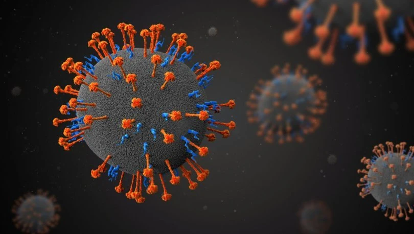 Nipah Virüsü (NİV) Nedir? Nipah Virüsü (NİV) Nasıl Bulaşır?