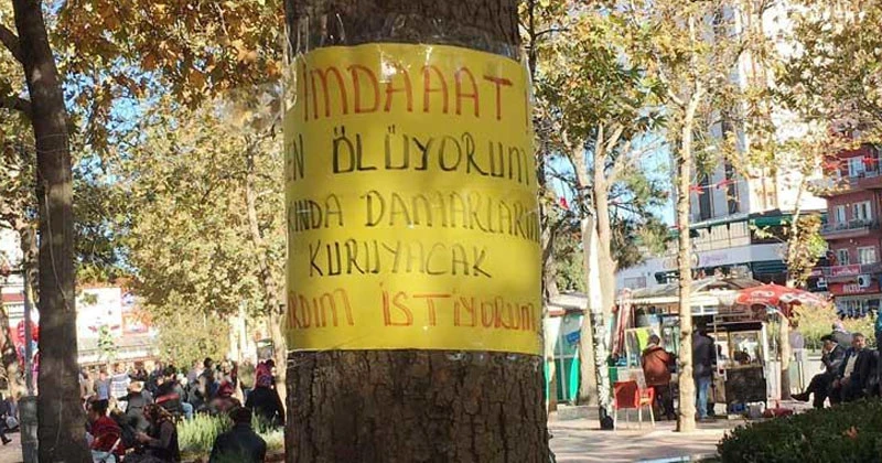 Isparta'da ağaç üzerindeki esrarengiz yardım çağrısı şaşırttı