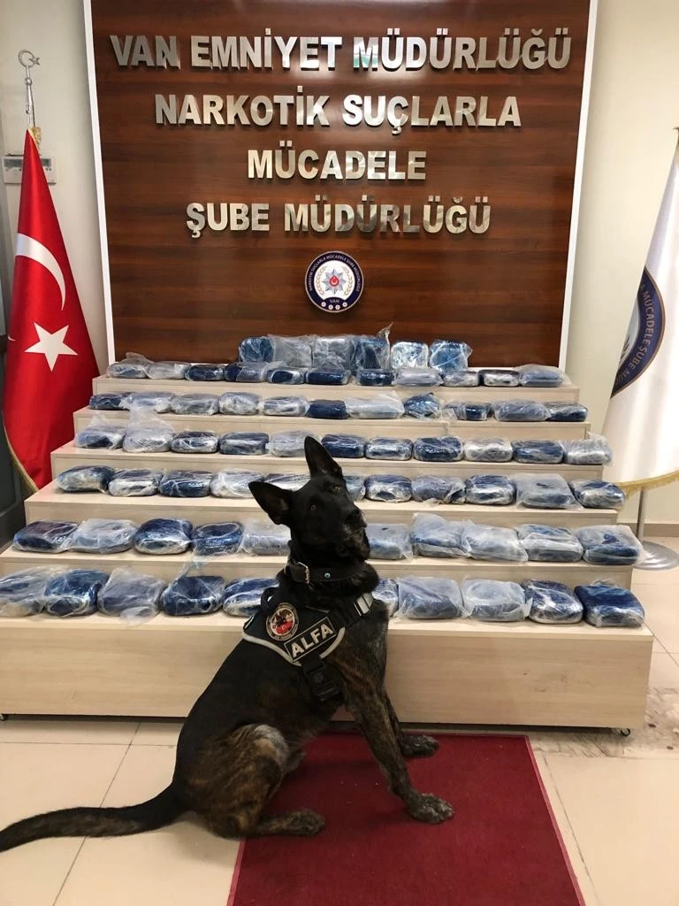 Aracın tabanındaki 82 kilo eroini alfa buldu