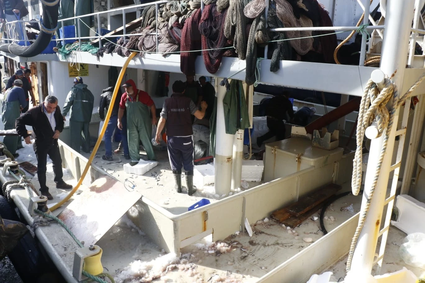 Zonguldak’ta hamsi bereketi