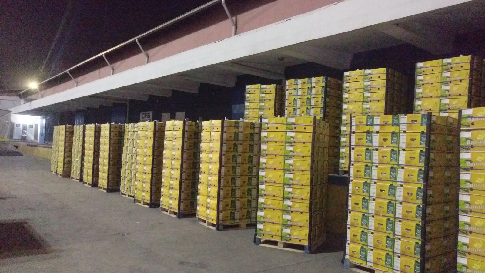 Muz yüklü konteynerda 615 kilo kokain ele geçirildi