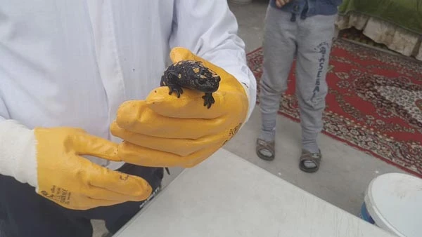 Malatya’da bulundu: 60 yaşındayım, böylesini ilk defa gördüm