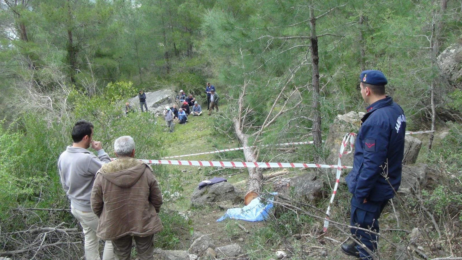 Kestiği ağacın altında kalan yaşlı adam öldü