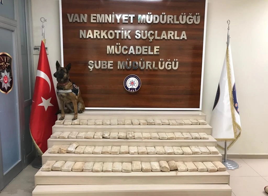 Lisa’nın katıldığı operasyonda 39 kilo eroin ele geçirildi