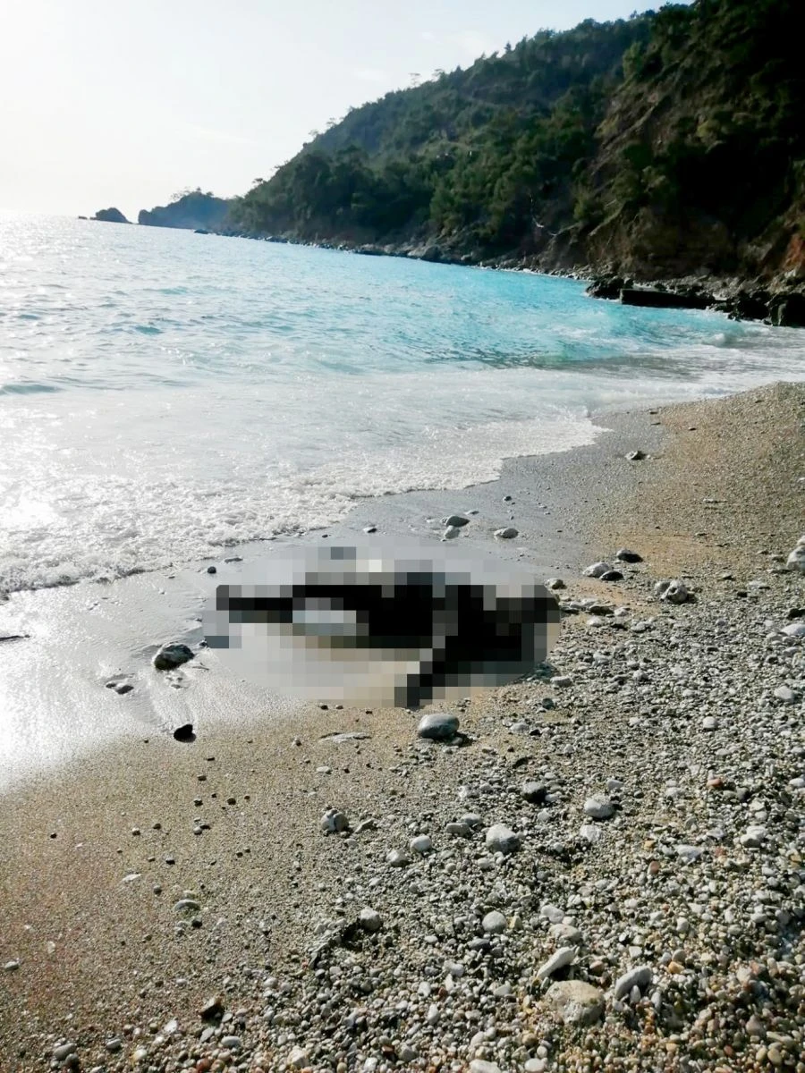 Fethiye'de denizde erkek cesedi bulundu