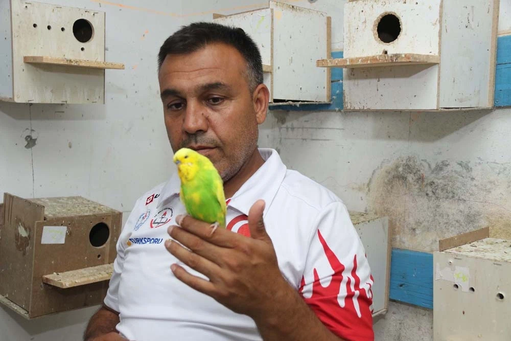 Evinde 130 kuşla yaşıyor