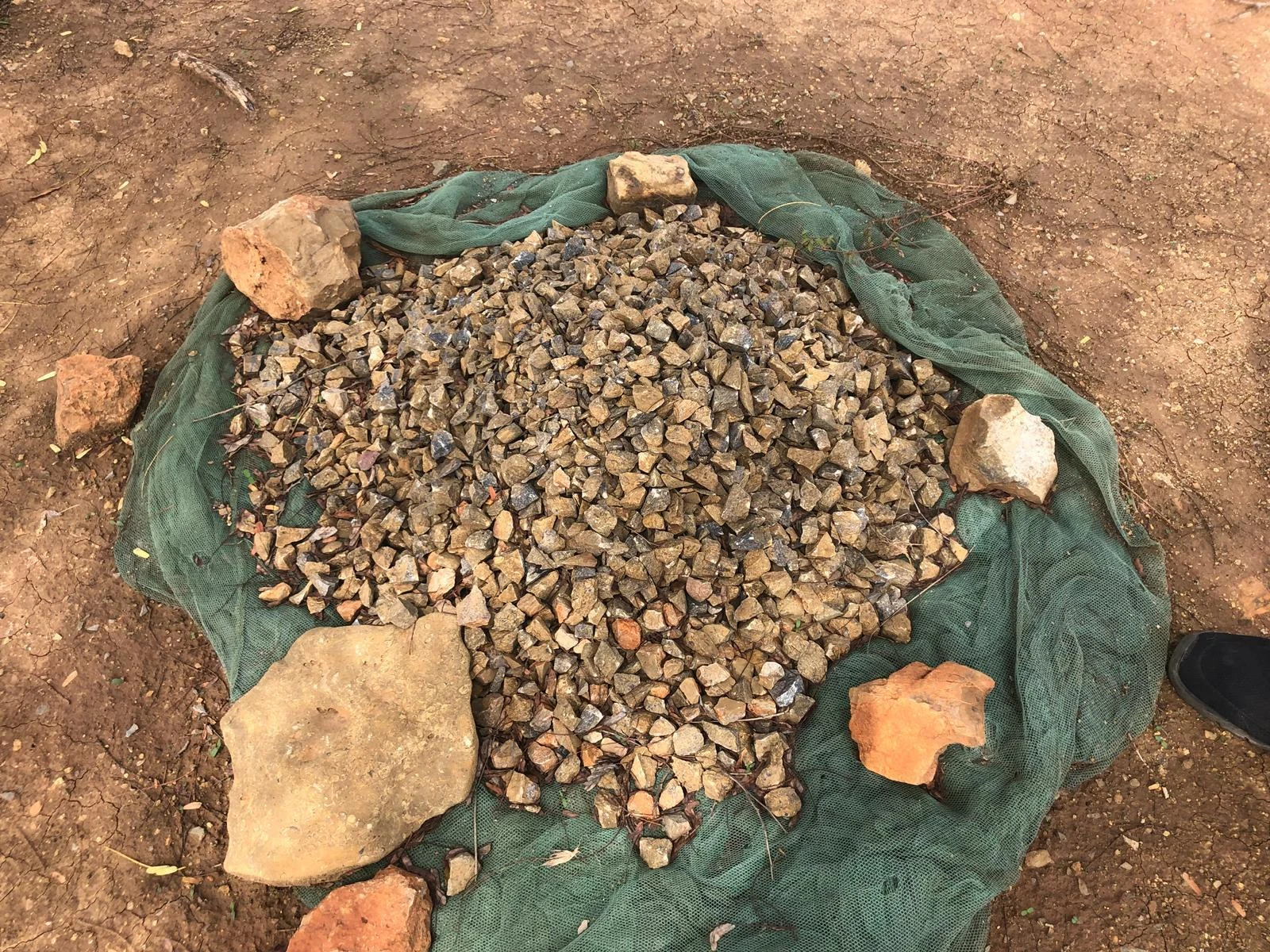 Kurbanlar gerçek ihtiyaç sahipleri ile buluşuyor…