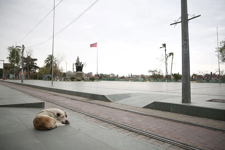 Yurt genelinde 'evde kal' çağrısına büyük oranda uyuluyor