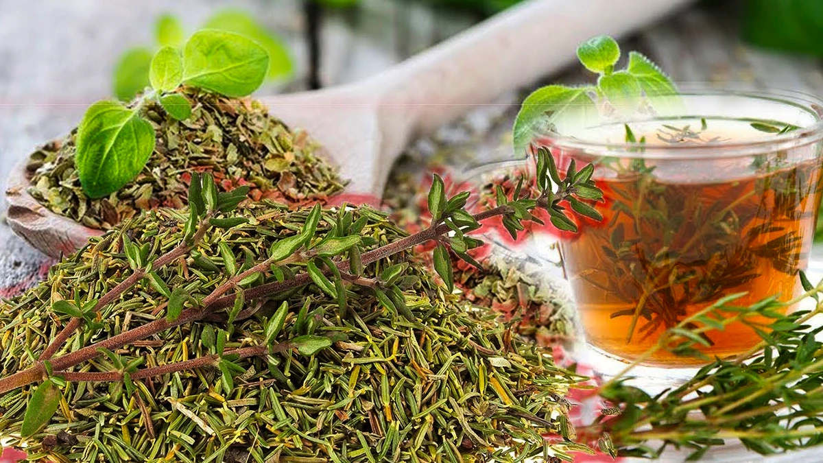 Kekiğin Nelere Faydası Var? Kuru Kekik Otunun Faydaları Nelerdir?