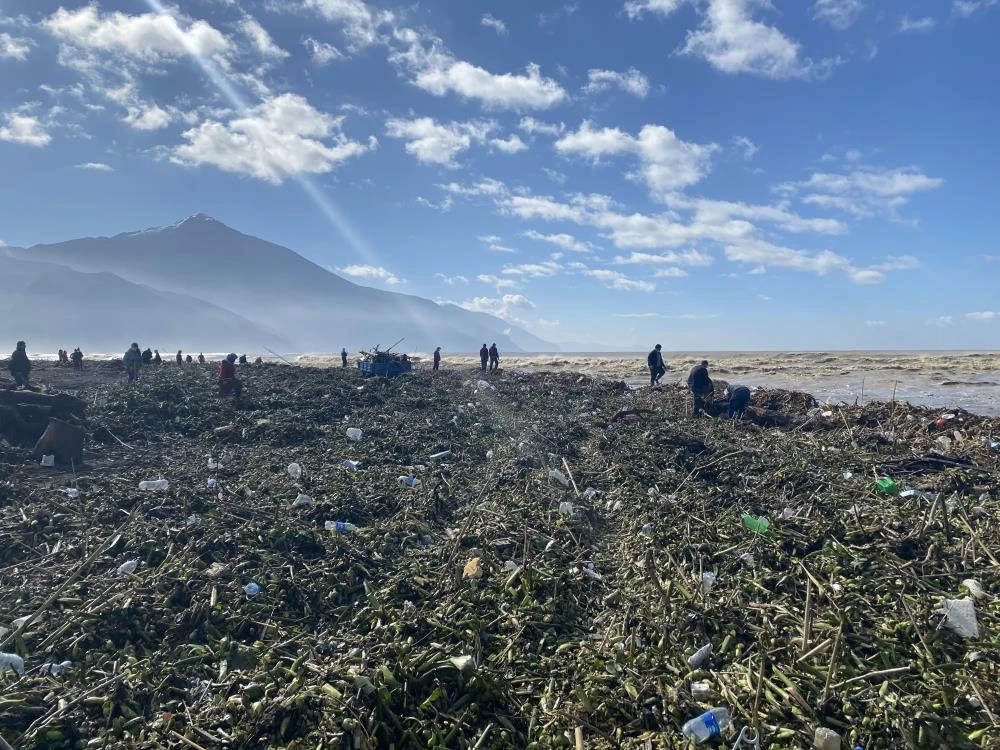 Samandağ sahilinde oduna hücum