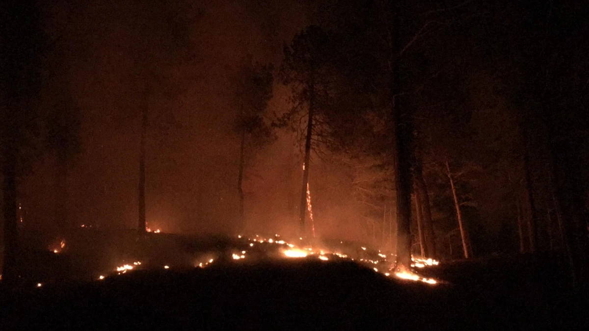 Kastamonu'da orman yangını mahalleye sıçradı