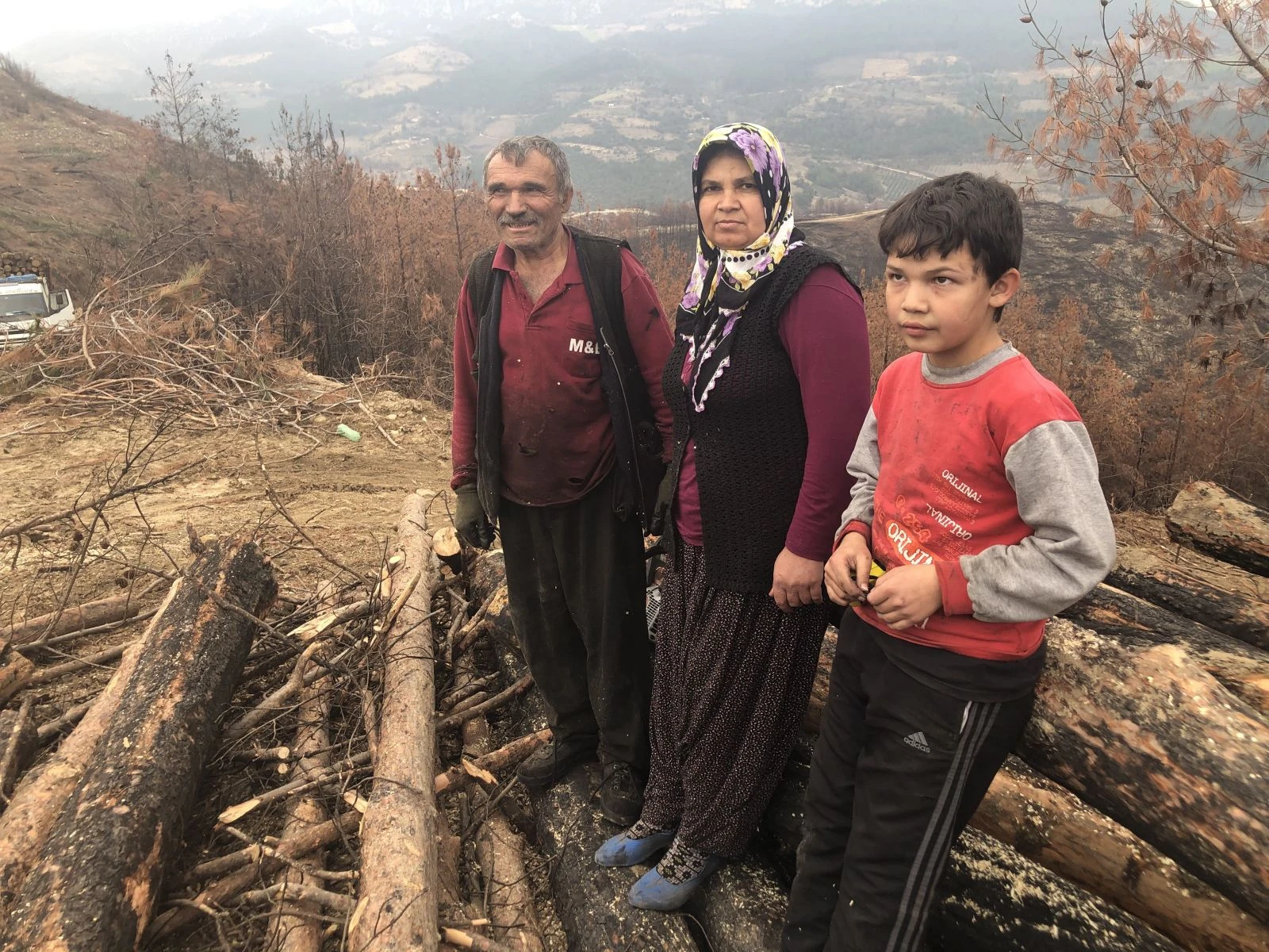 Yanan ormanlık alanları küllerinden yeşertmek için çalışıyorlar
