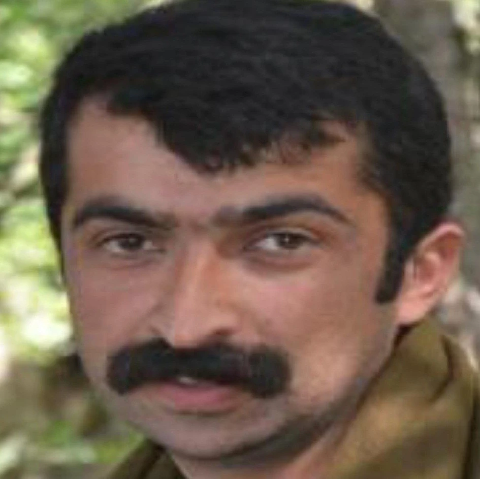 PKK'nın sözde Mardin sorumlusu etkisiz hale getirildi