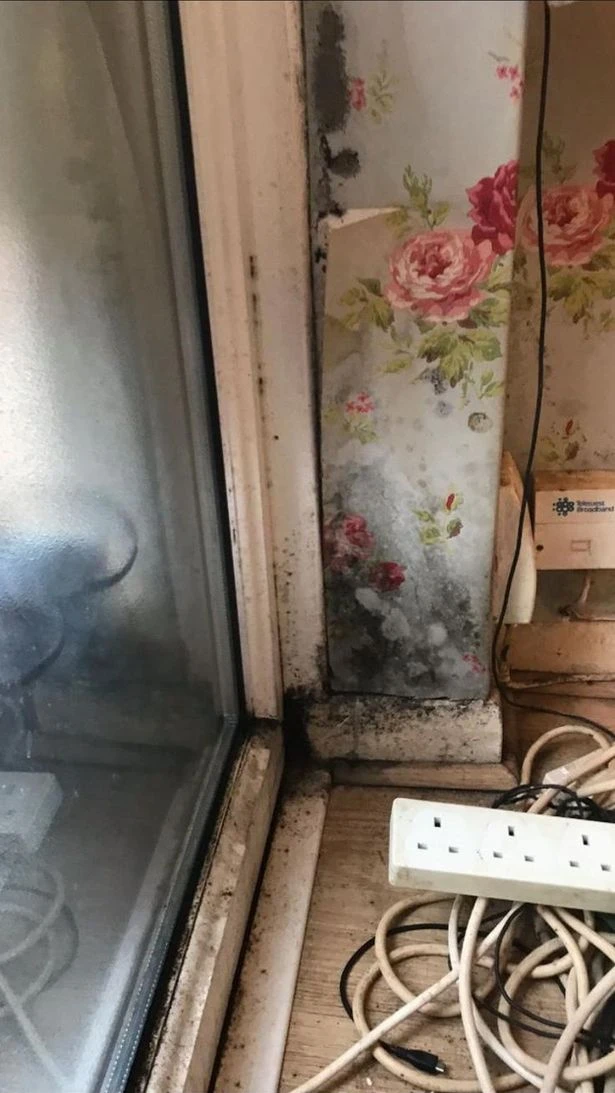 Dairesi küf tuttu az kalsın ölüyordu kabusu böyle anlattı