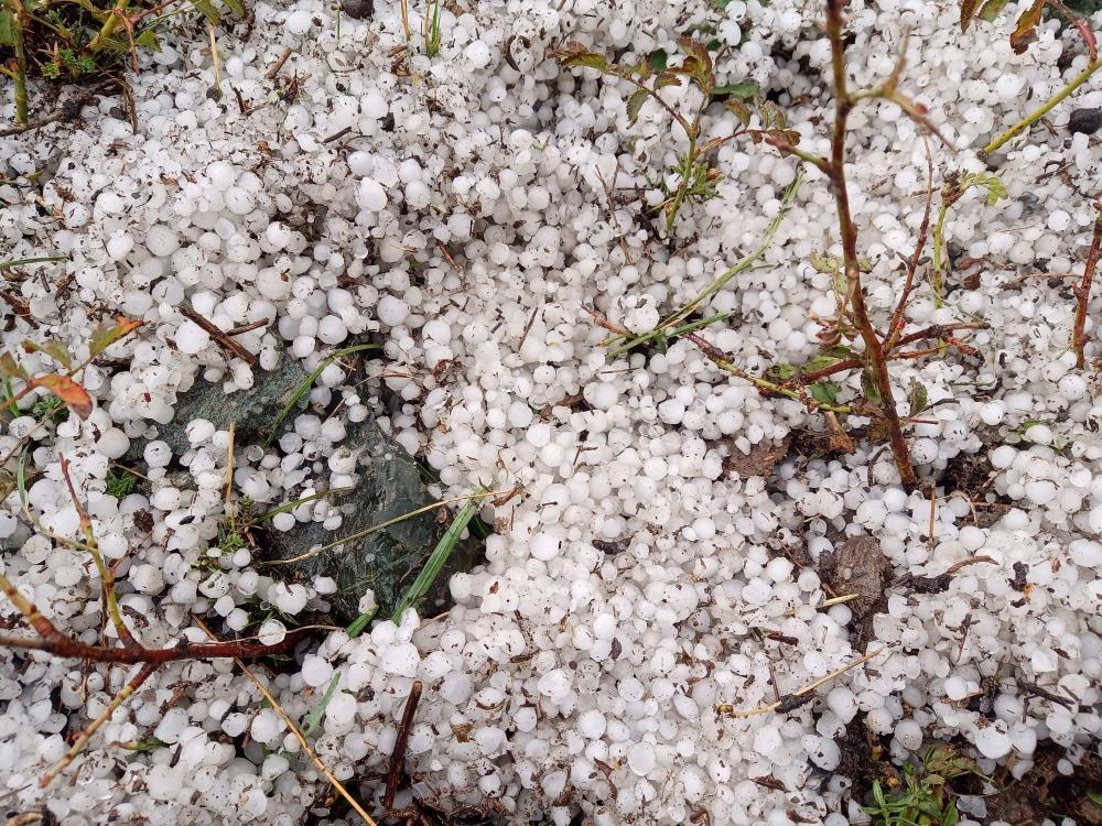 Ağustos ayında her yer beyaza büründü