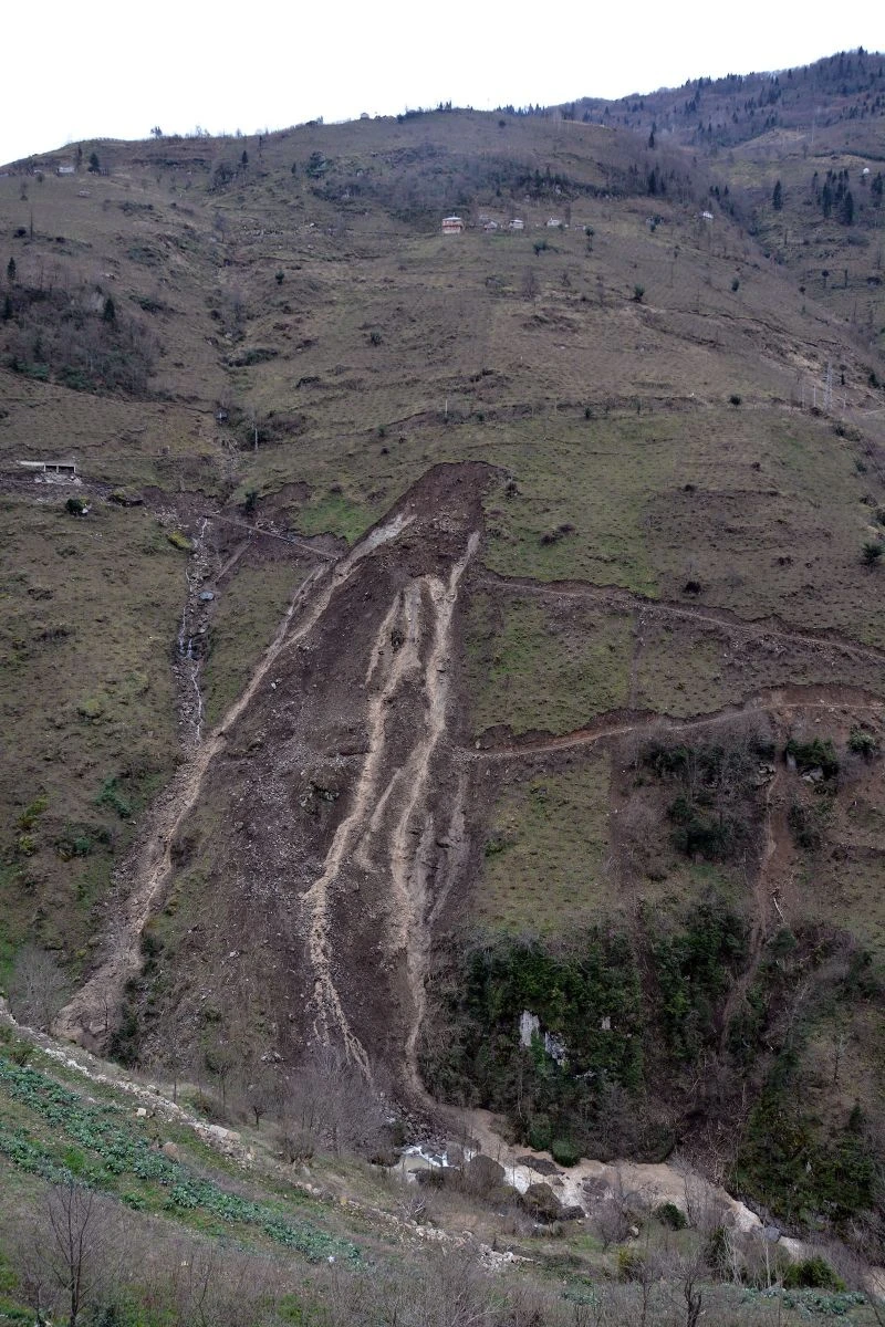 Ordu'da heyelan bir fındık bahçesini yok etti