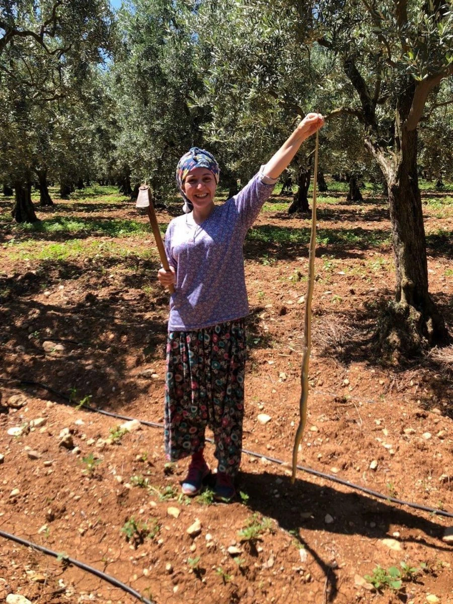 Kadın çiftçi boyundan büyük yılan yakaladı