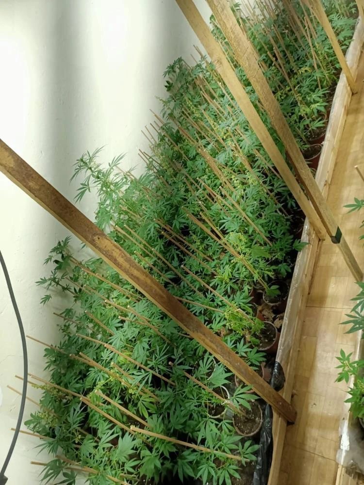 Ev sahibi kiracının evine girince şoku yaşadı