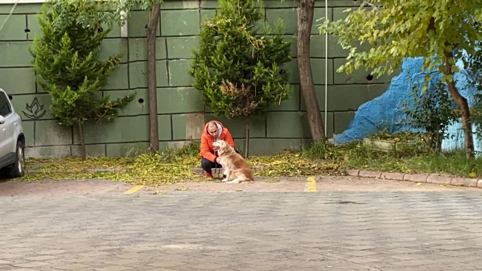 İstanbul’da feci olay: 'Köpeğime iyi bakın' dedi intihar etti