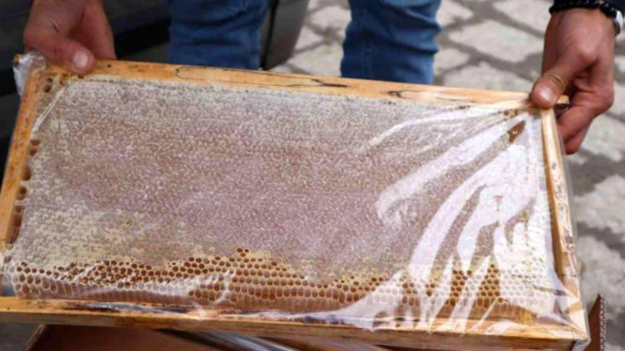 Düzce’de 935 kilogram ‘sahte’ bal ve pekmez ele geçirildi