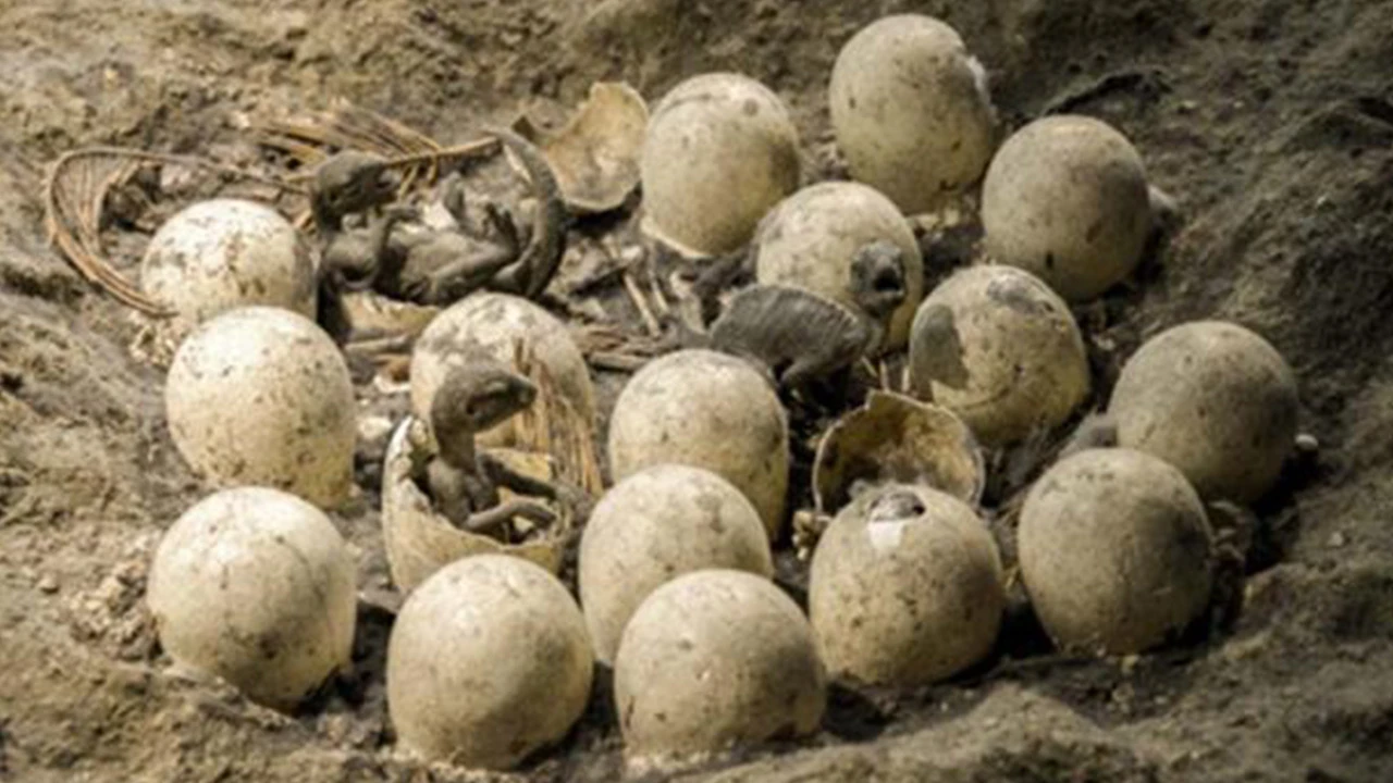 Rüyada dinozor görmek ne anlama gelir? Rüyada dinozordan kaçmanın, dinozor öldürmenin anlamı nedir?