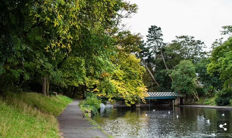 Göle düştü, o an olacakları tahmin edemezdi! Küçük bir çizik yaşamdan kopardı