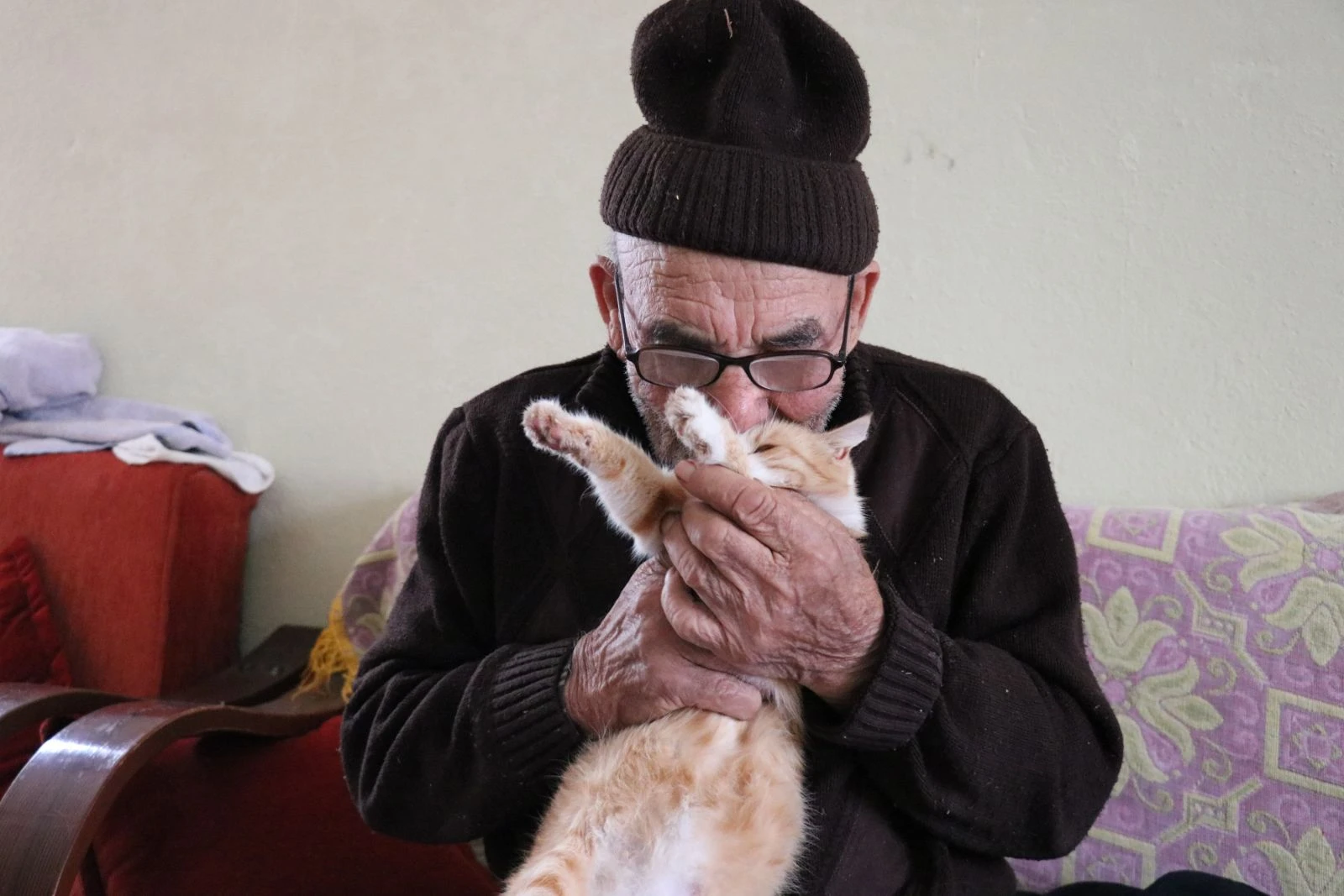 Ali dede yeni evinde kedileriye birlikte yaşıyor