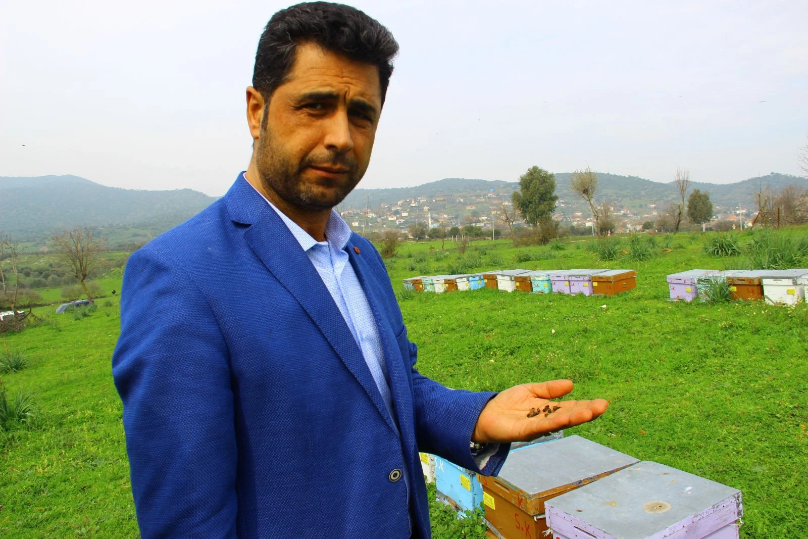 Çiftçilerin duyarsızlığı milyonlarca arıyı telef etti