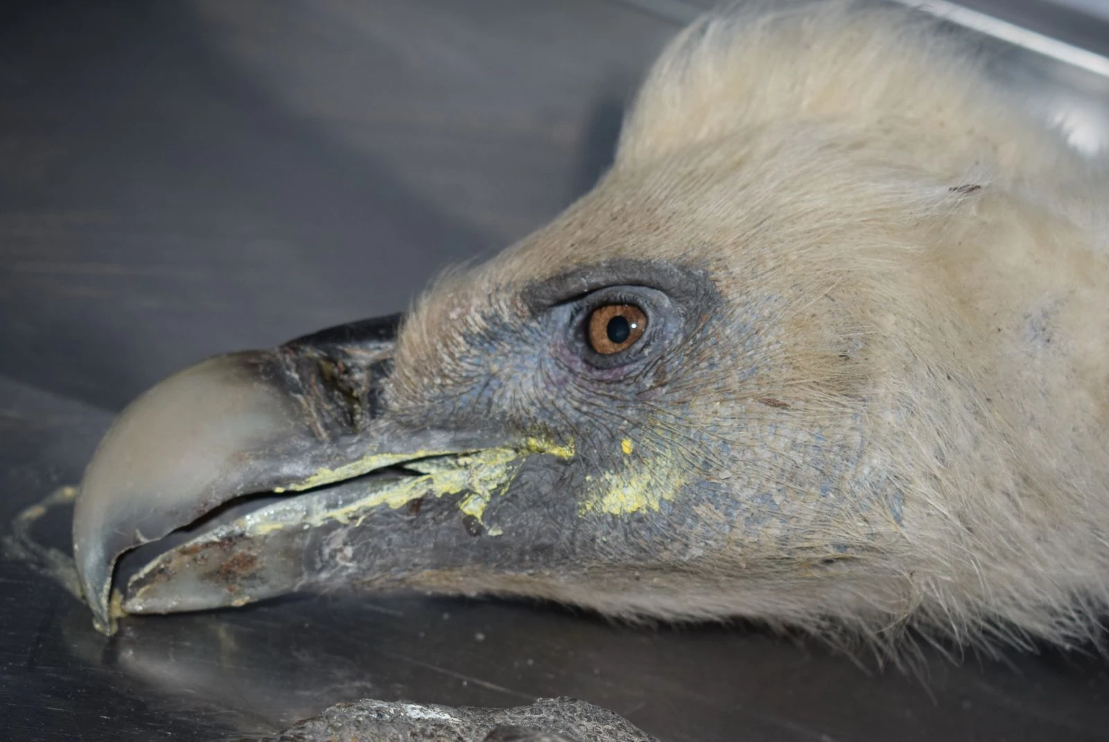 4 yaşındaki Yağmur toprağa verildi
