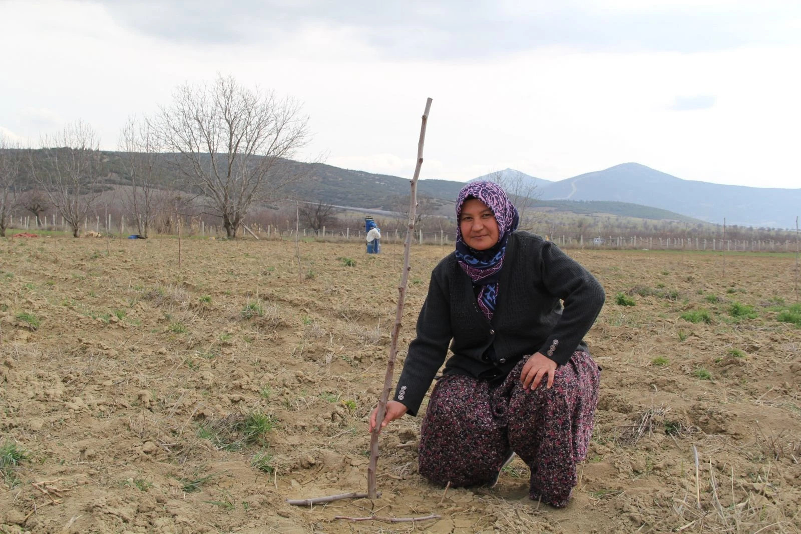 Hünnap yemeyi değil, hünnap yetiştirmeyi öğrettiler