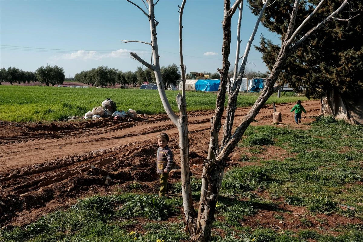 İstanbulluları sevindiren "Hızır" bu kez orada ortaya çıktı