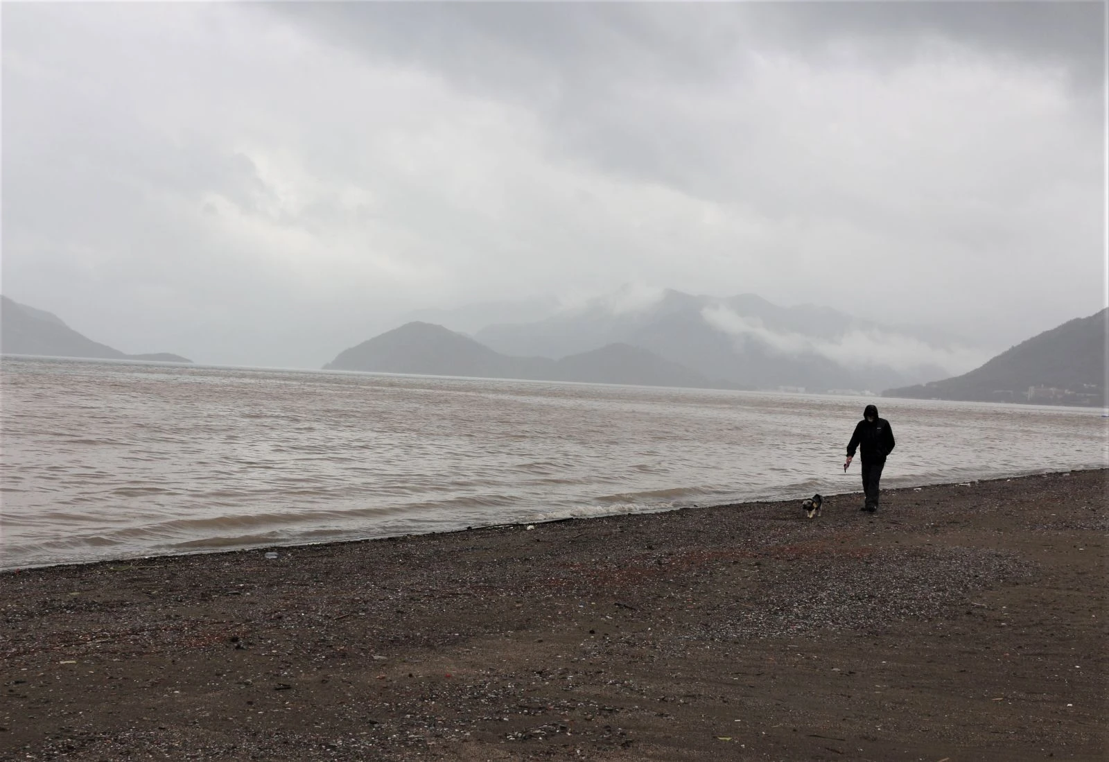 Sahile gidenler şaşkına döndü