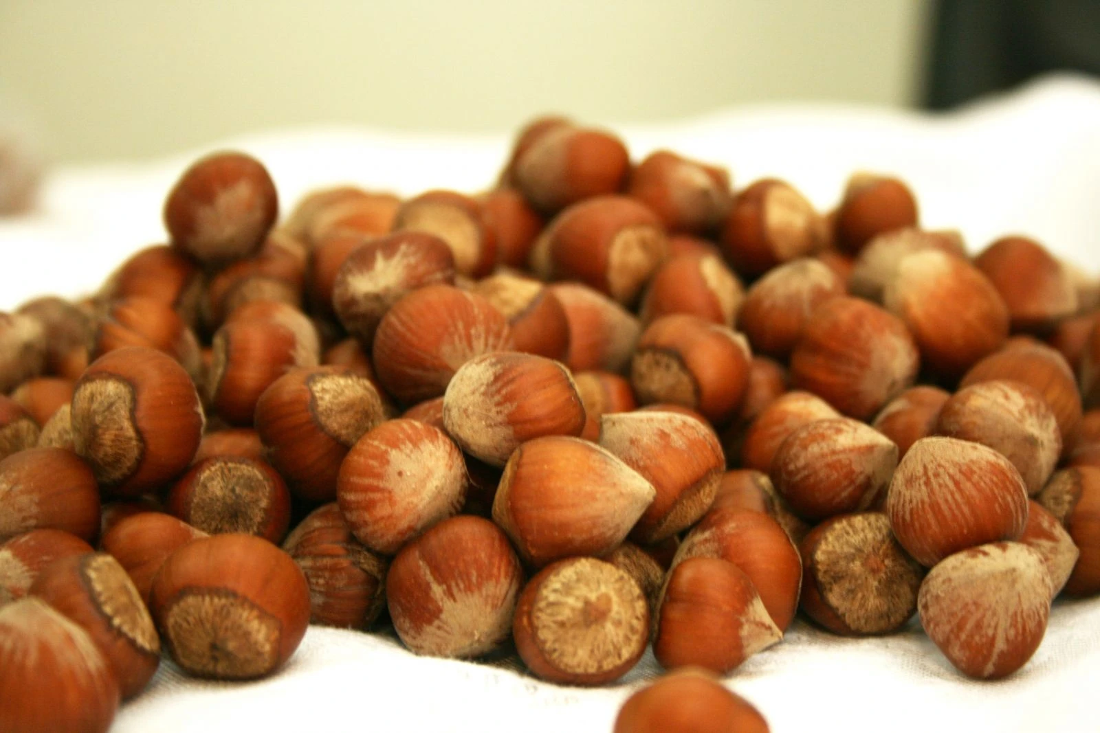 Fındık ihracatından 8 ayda 1,2 milyar dolar gelir