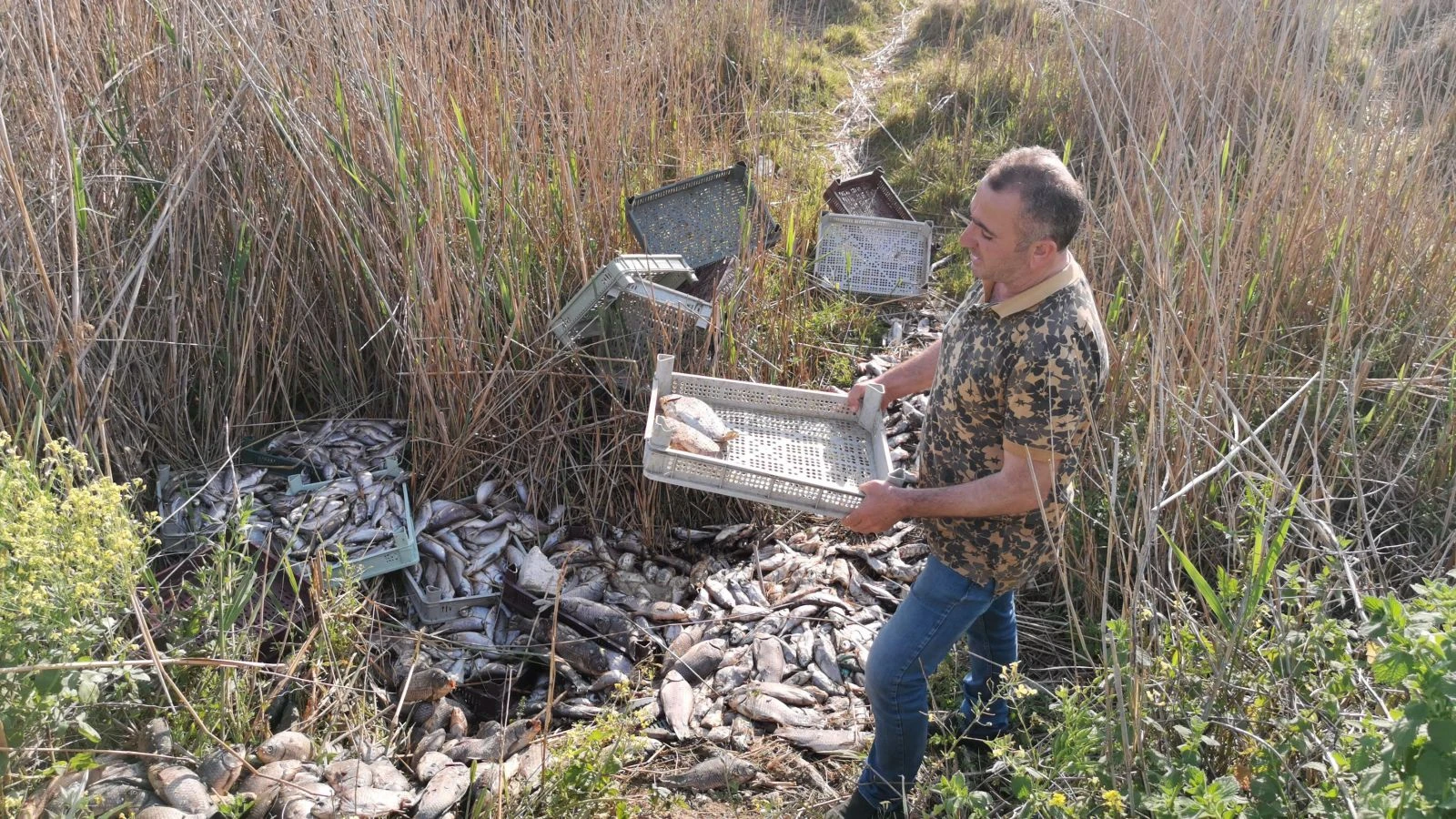 1 ton balığı bırakıp kaçtılar