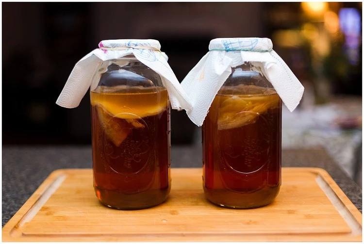 Kombucha (Kombu) Çayı nedir? Kombu Çayı'nın faydaları ve Zararları