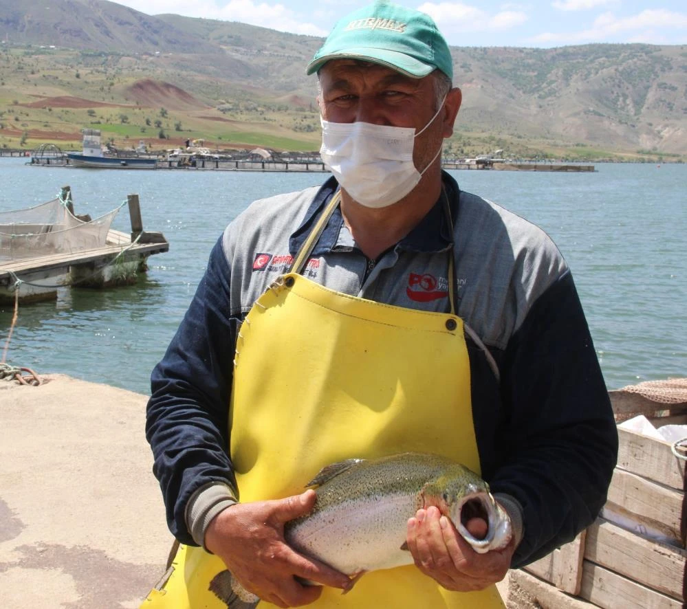 Denize kıyısı olmayan Sivas’tan dünyaya somon ihracatı