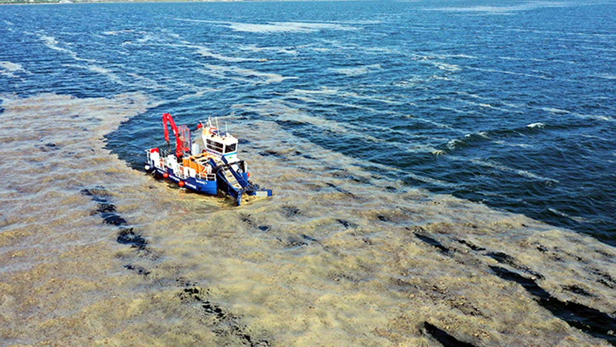 Bakan Kurum, müsilaj acil eylem planını açıkladı
