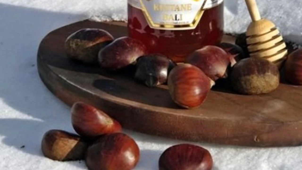 Kestane balı faydaları nedir, nerede yetişir? Kestane balı diyarı Zonguldak'ta bal fiyatları...